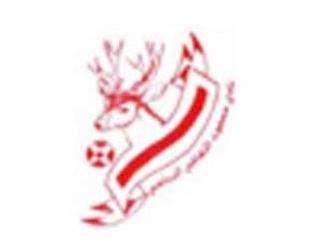 Masfout Sports and Cultural Club logo